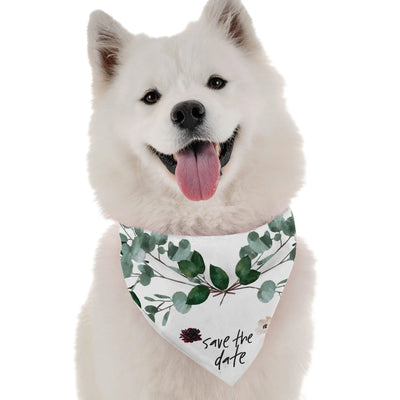 Save the Date - Your Pet Connection