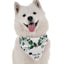 Bandoggies Floral Style Dog Bandana Standard Size