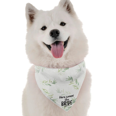 Here Comes the Bride - Your Pet Connection