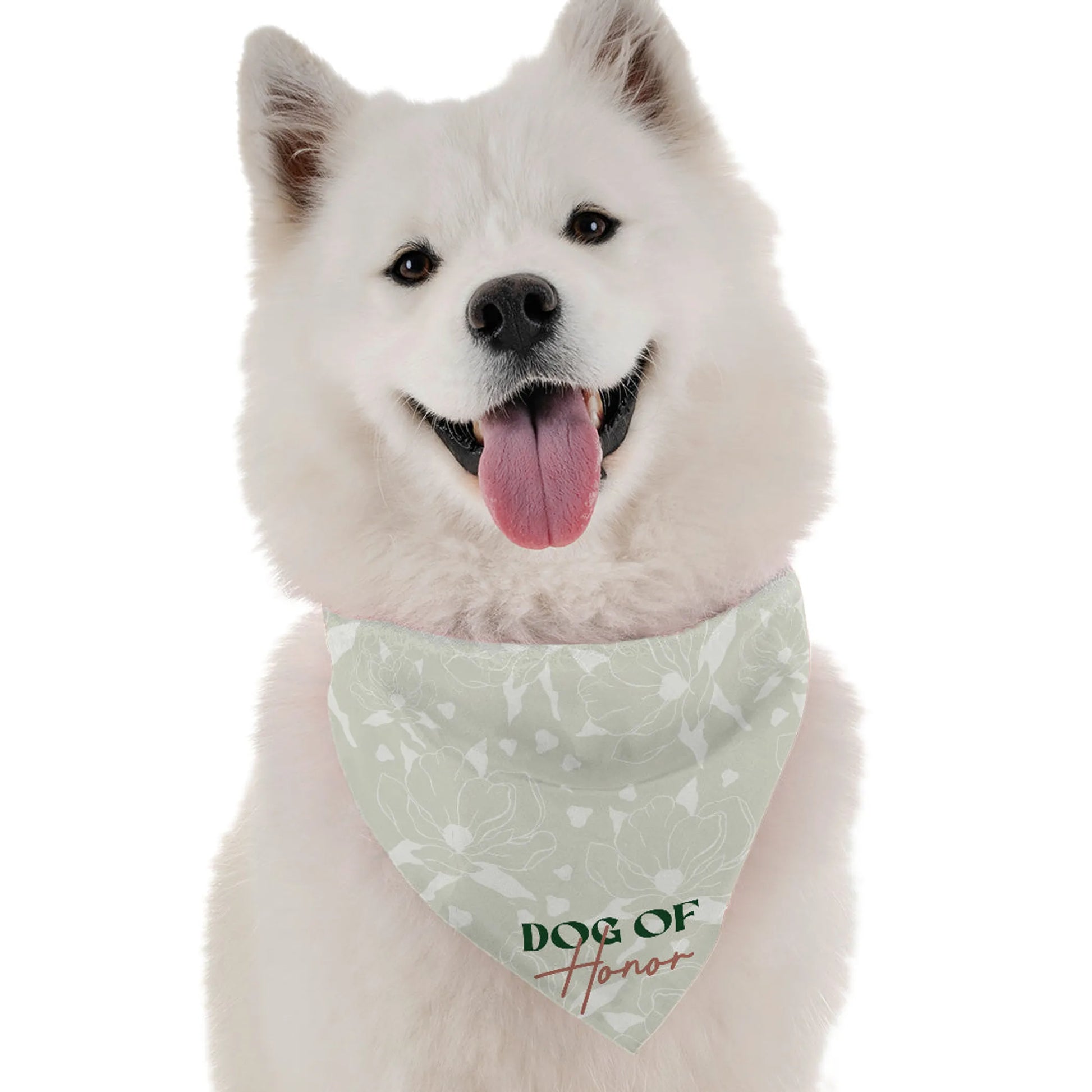 Dog of Honor - Your Pet Connection