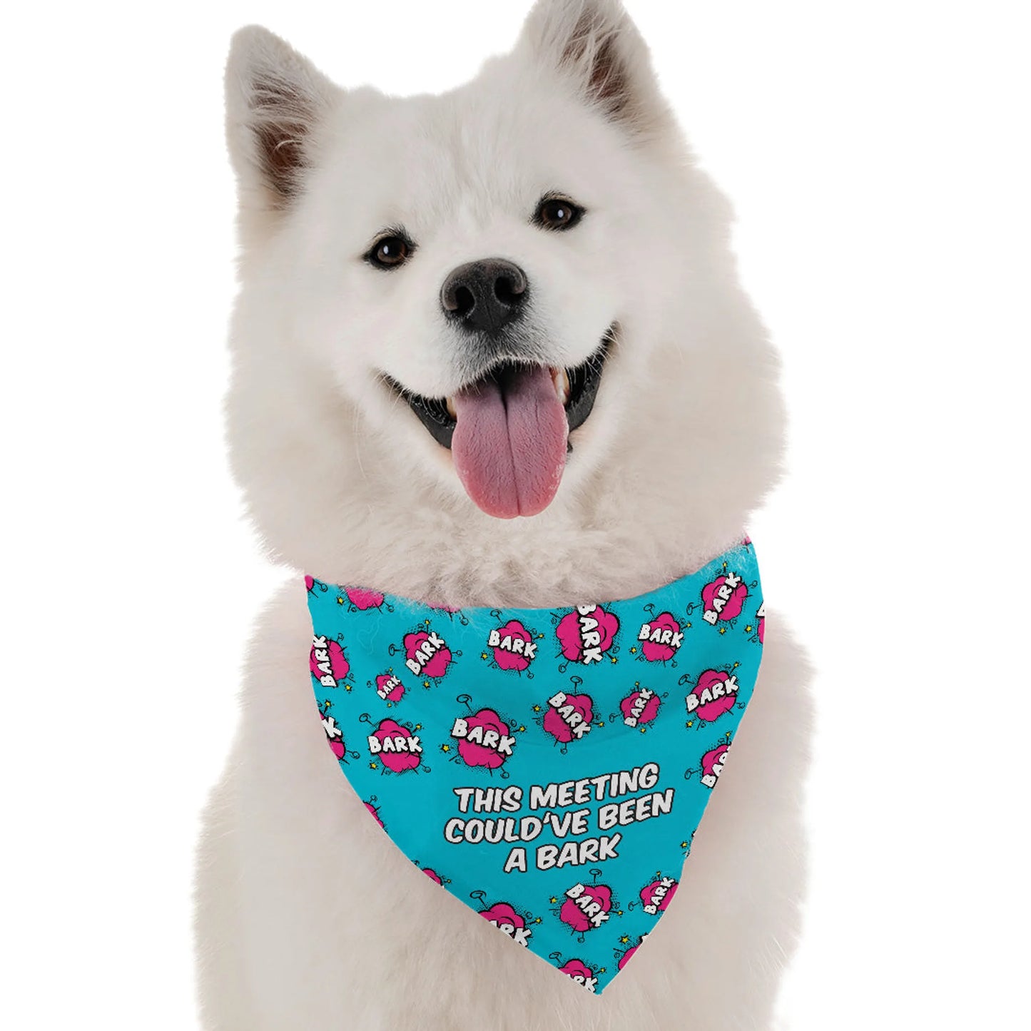 This Meeting Could've Been a Bark - Your Pet Connection
