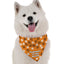 Bandoggies Elegant Dog Bandanas Adjustable Fit