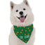 Bandoggies Colorful Dog Bandana Universal Fit