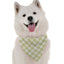 Bandoggies Chic Dog Bandanas for Style and Comfort