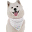 Bandoggies Stylish Dog Bandanas - Adjustable Size