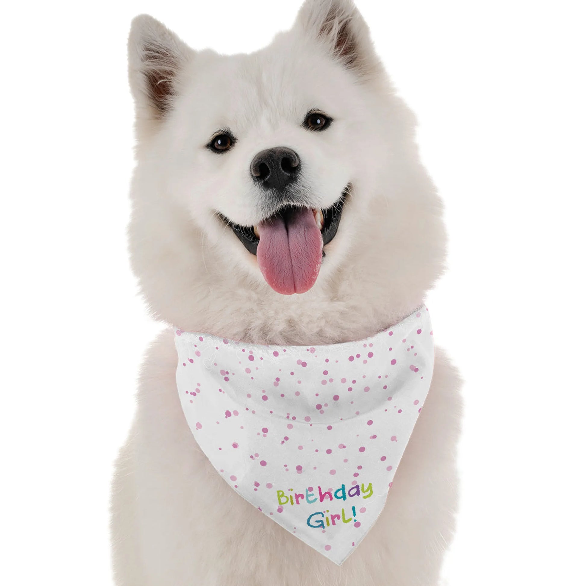 Birthday Girl - Your Pet Connection