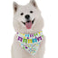 Happy Birthday To Me (Boy) - Your Pet Connection