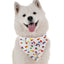 Bandoggies Chic Dog Bandanas One Size
