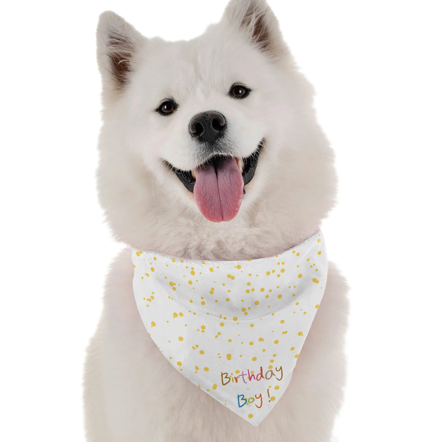 Birthday Boy - Your Pet Connection