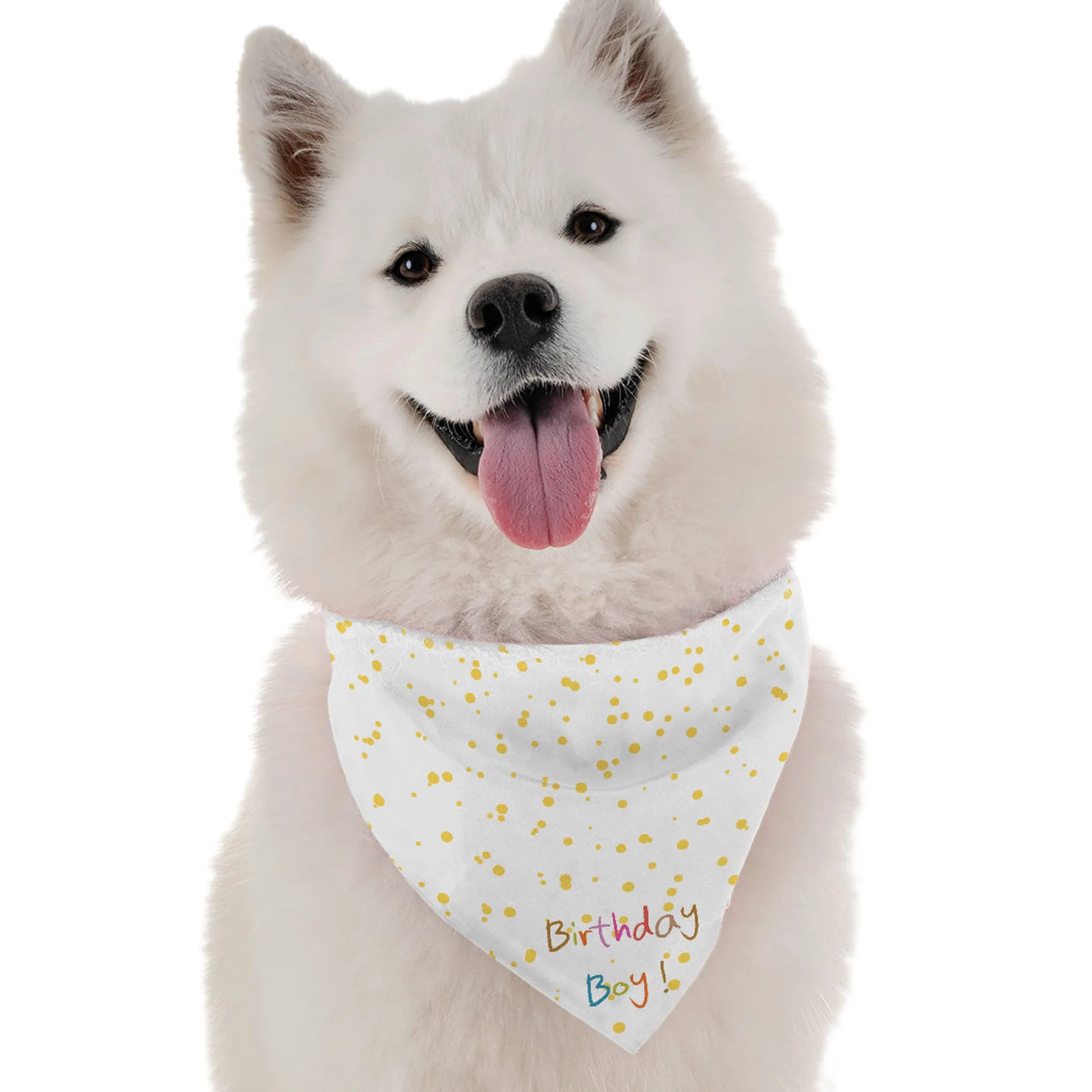 Birthday Boy - Your Pet Connection