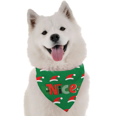 Nice - Your Pet Connection