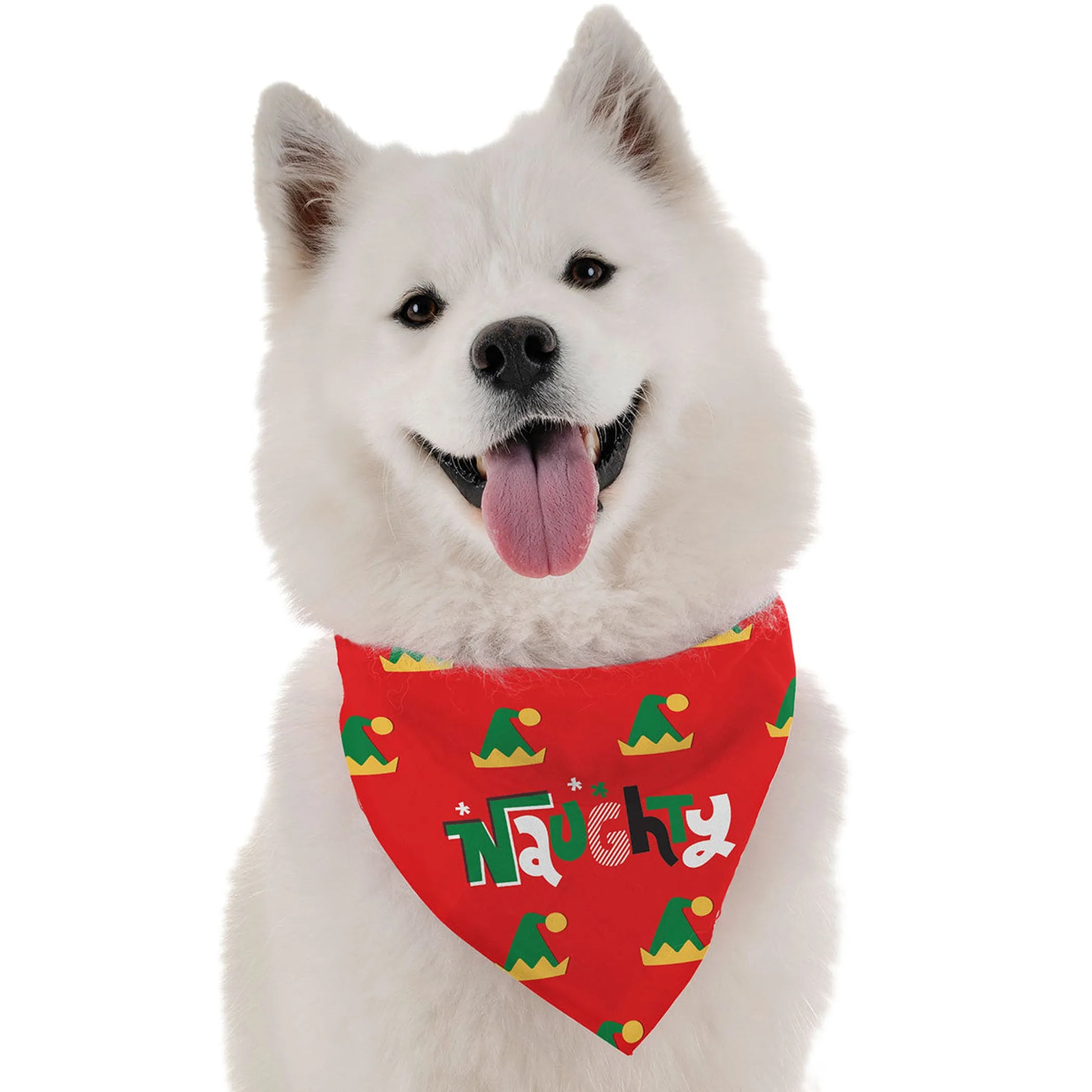 Naughty - Your Pet Connection