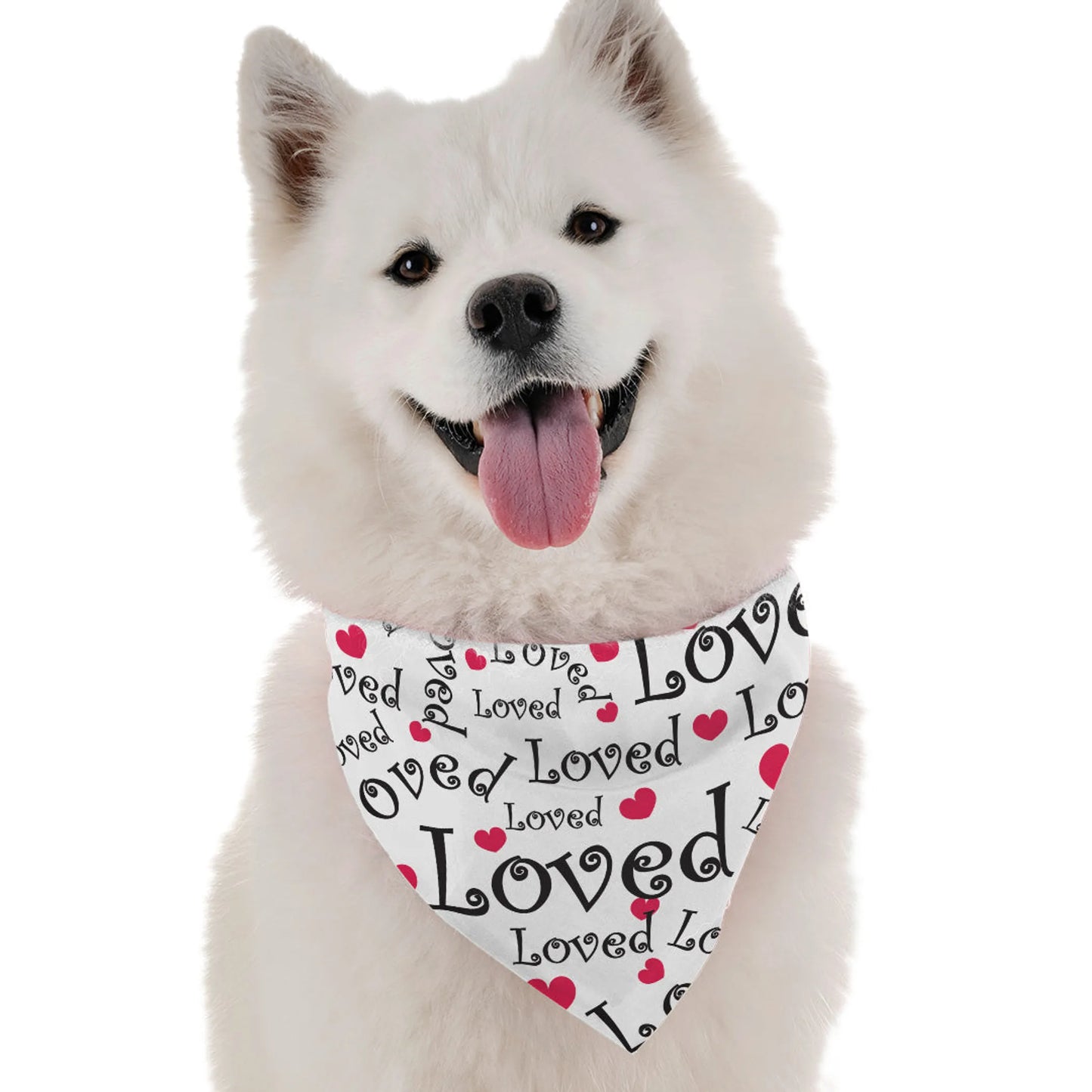 Loved - Your Pet Connection