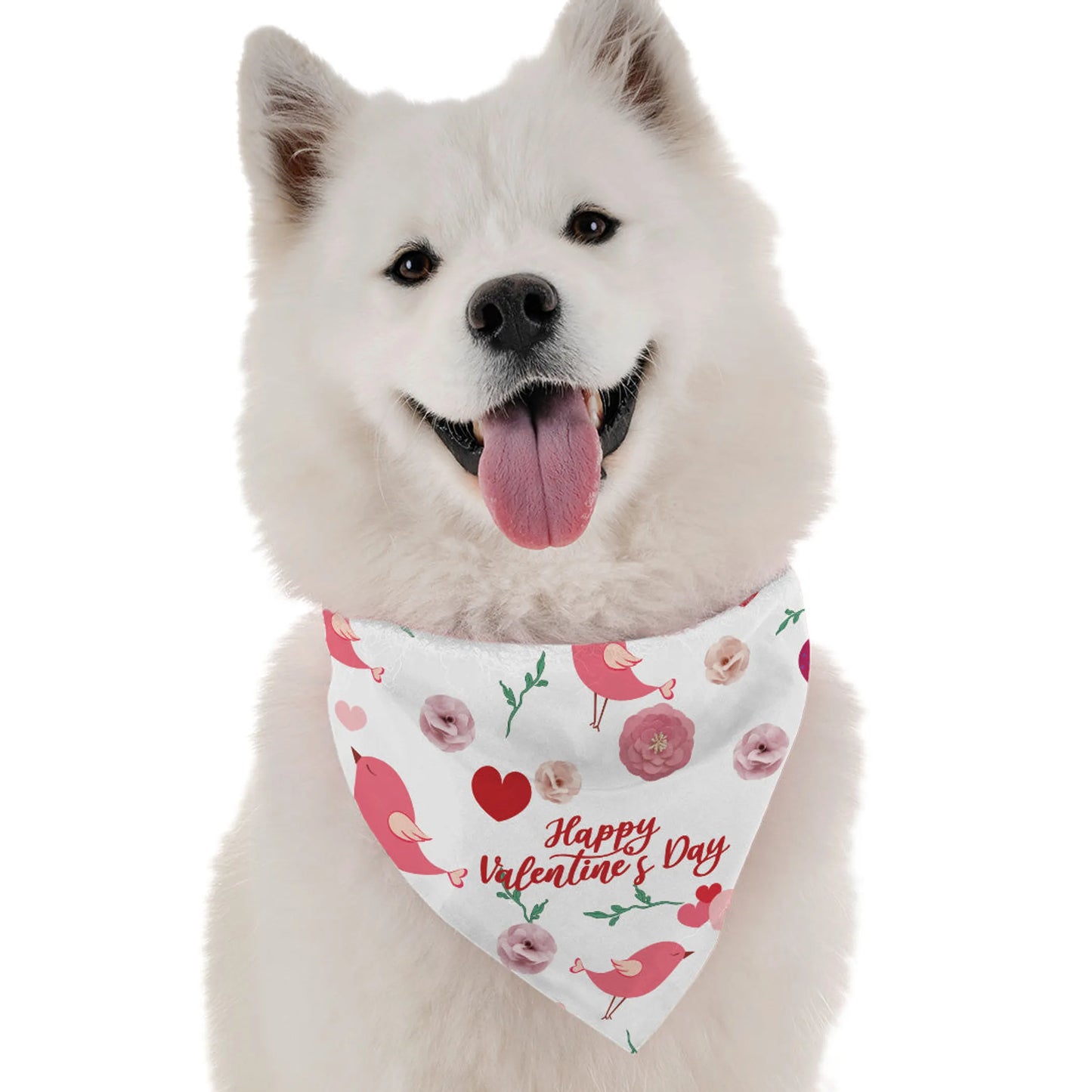 Happy Valentine's Day - Your Pet Connection
