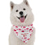 Dog Kisses 5 Cents - Your Pet Connection