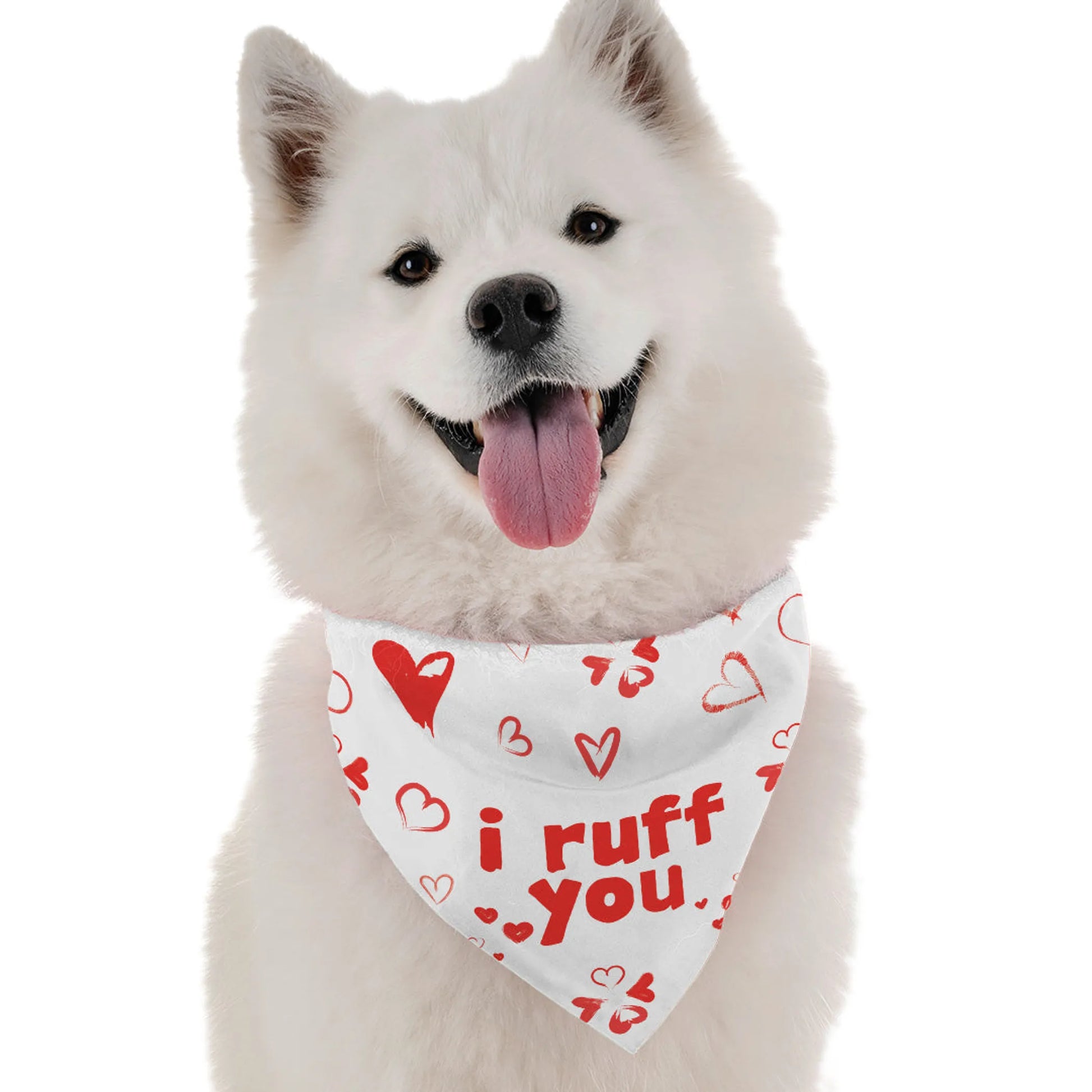 I Ruff You - Your Pet Connection