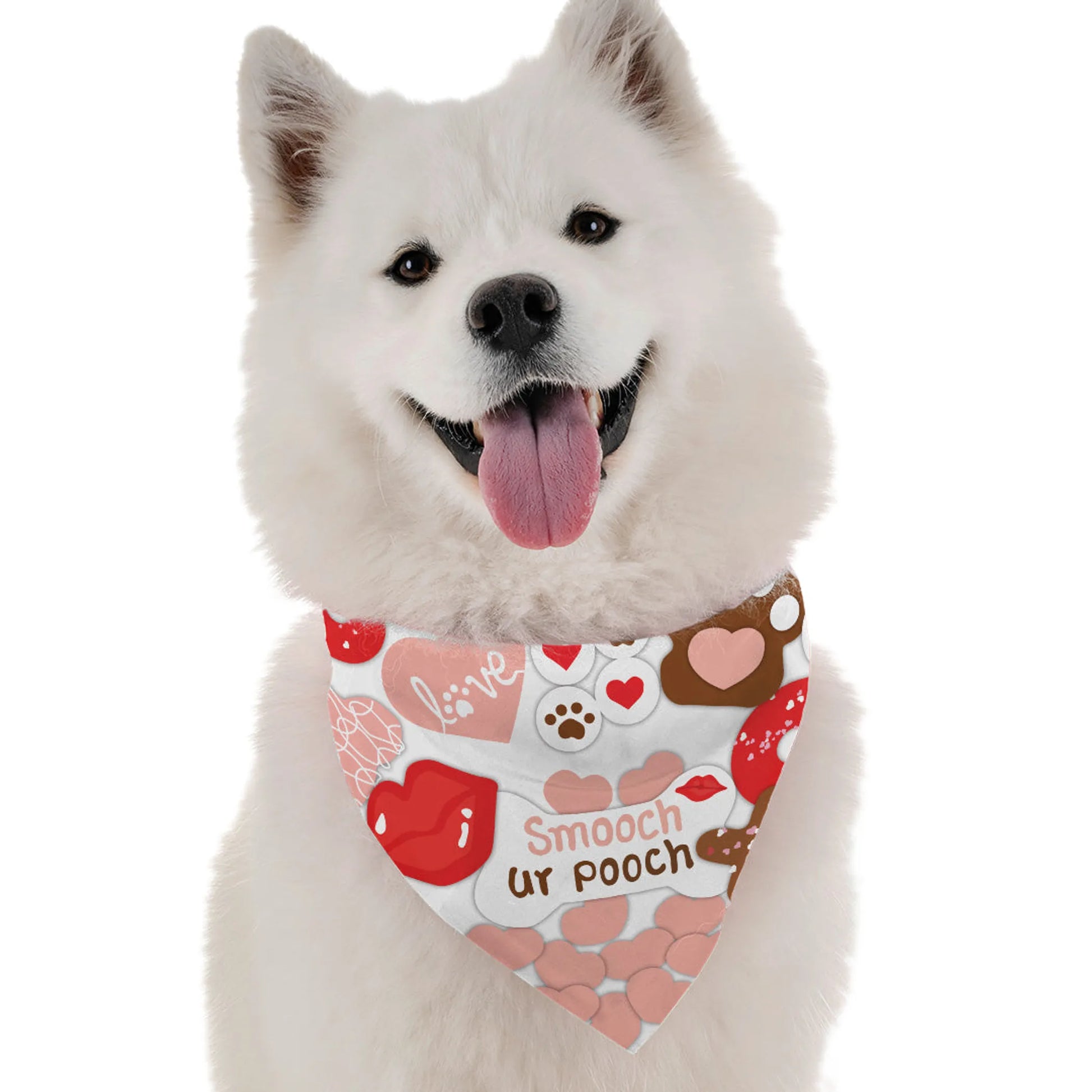 Give This Pooch a Smooch - Your Pet Connection