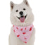 Bandoggies Stylish Holiday Dog Bandanas Adjustable Fit
