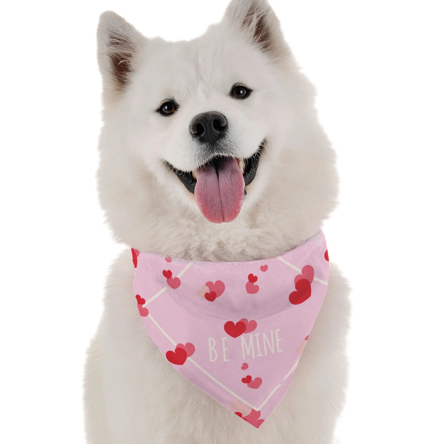 Be Mine - Your Pet Connection