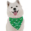 Lucky Dog - Your Pet Connection