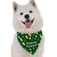 Bandoggies Festive Holiday Dog Bandana