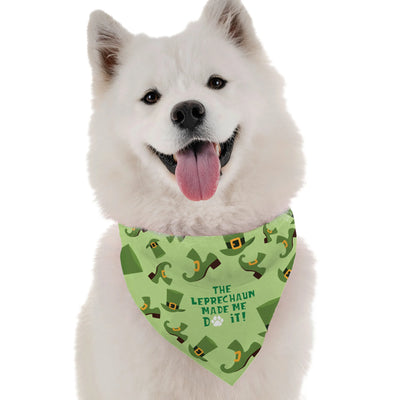 The Leprechaun Made Me Do It - Your Pet Connection