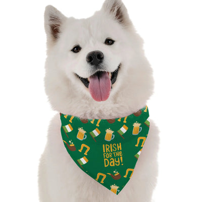 Irish for the Day - Your Pet Connection