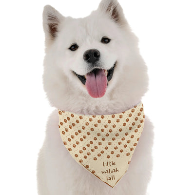 Little Matzah Ball - Your Pet Connection