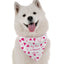 Bandoggies Chic Microfiber Dog Bandanas 24-Inch