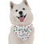 Bandoggies Dog Bandanas Small to Large