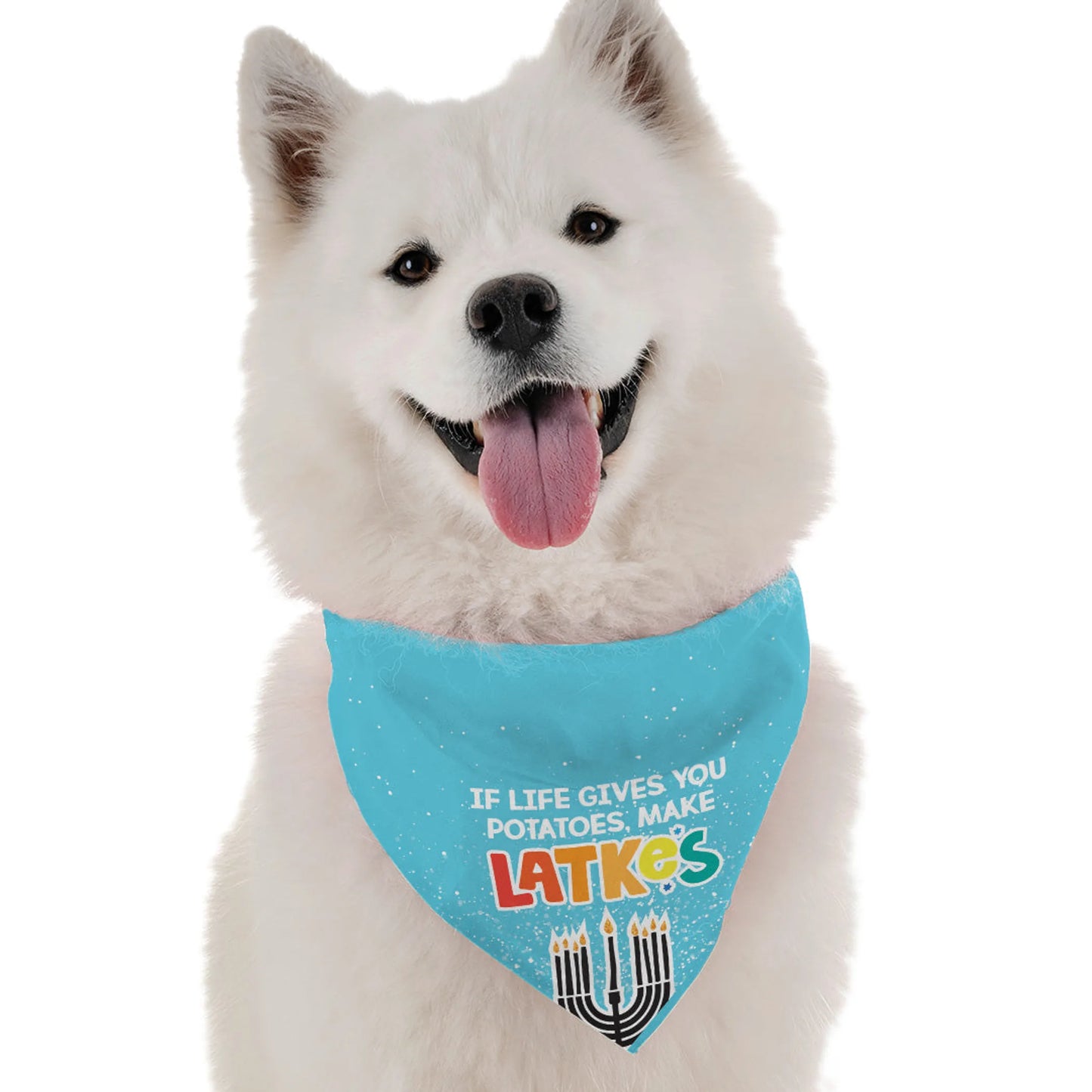 Make Latkes - Your Pet Connection