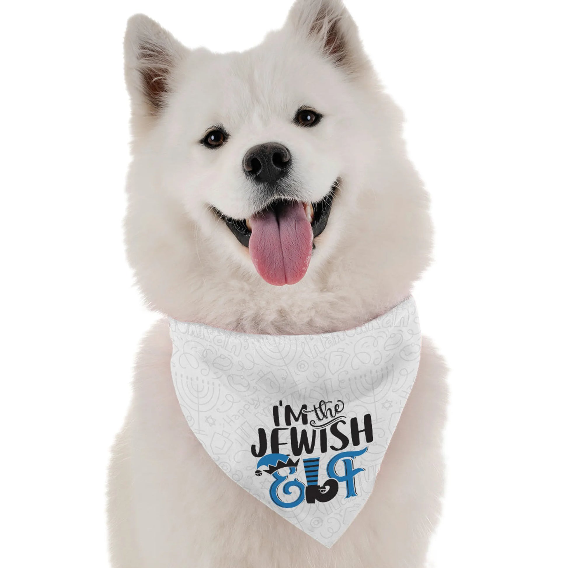 I'm the Jewish Elf - Your Pet Connection