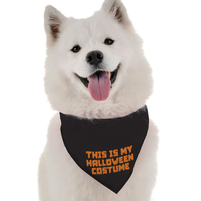 This is My Halloween Costume - Your Pet Connection