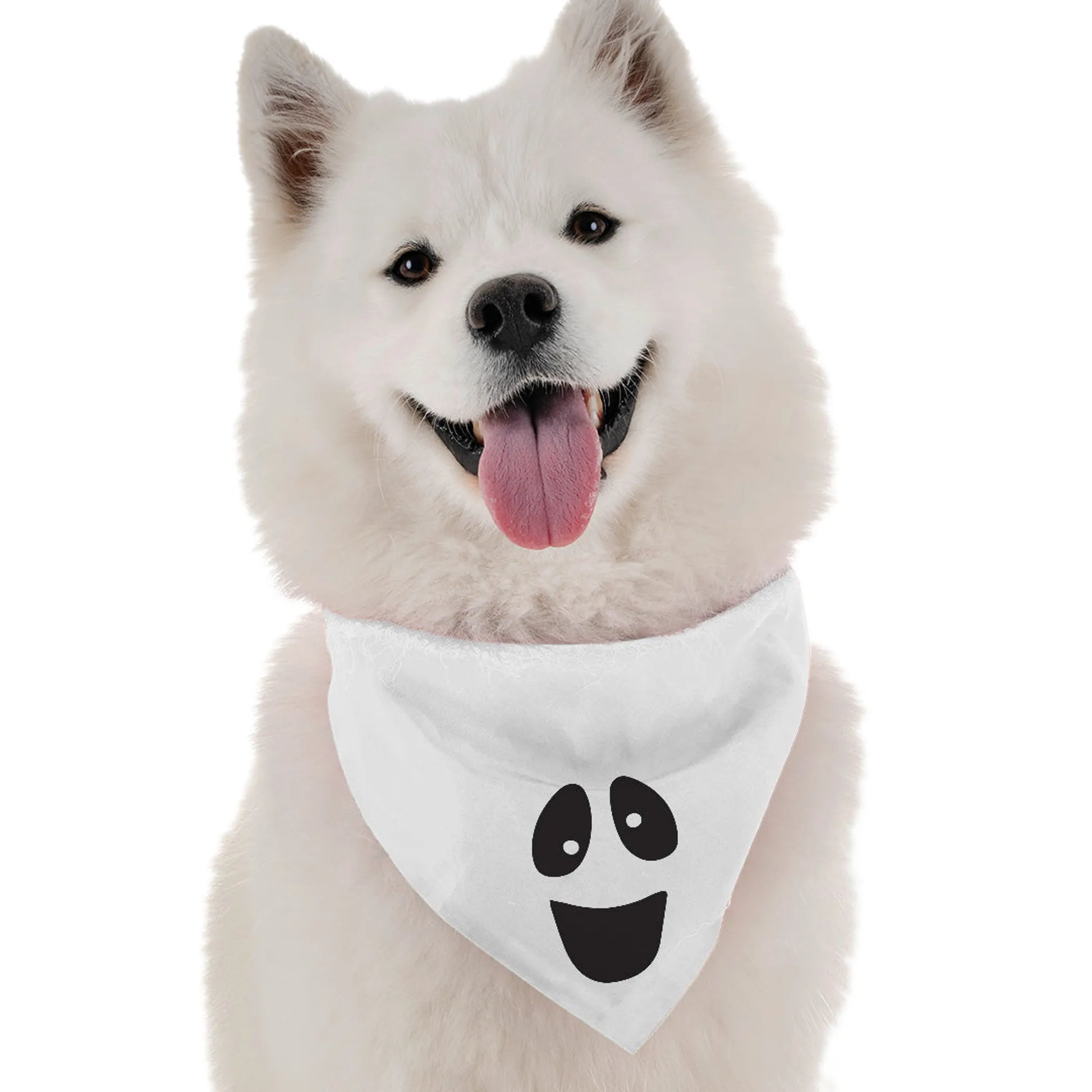 Ghost Costume - Your Pet Connection