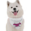 Bandoggies Festive Holiday Pet Bandana 60cm