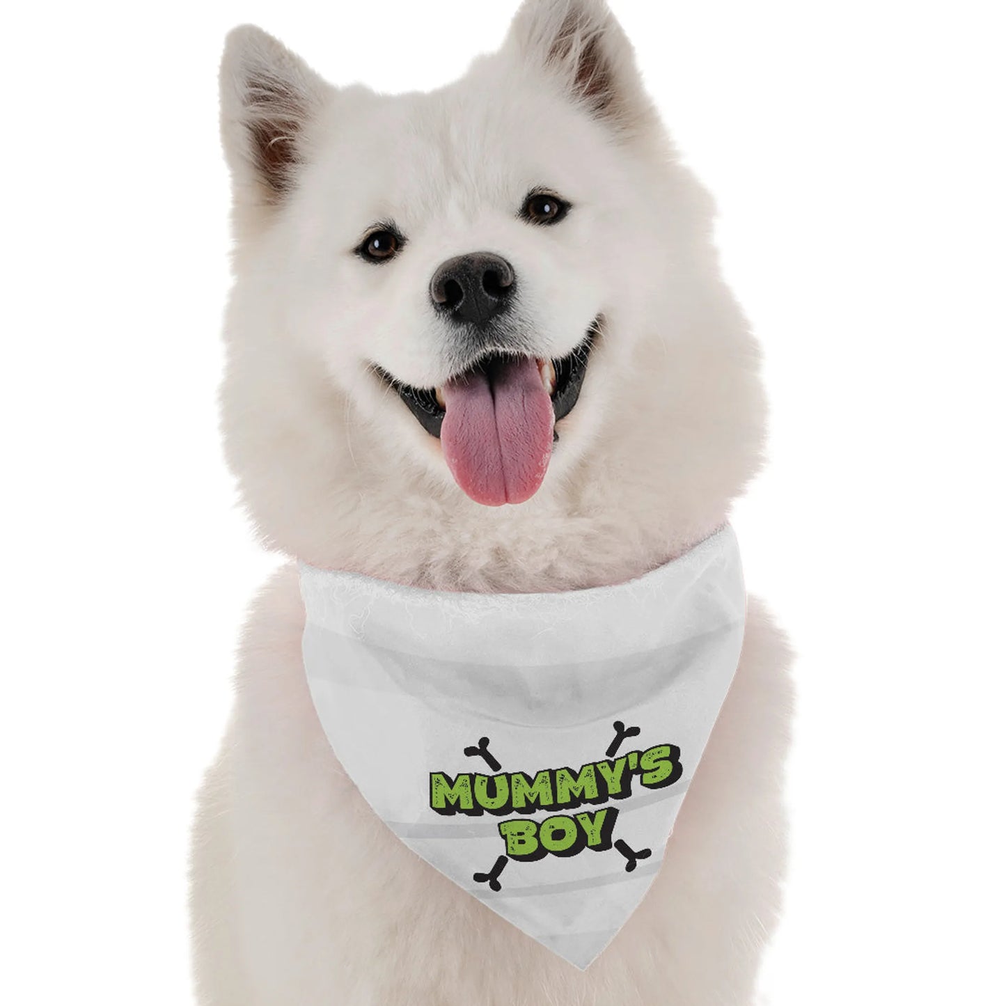 Mummy's Boy - Your Pet Connection