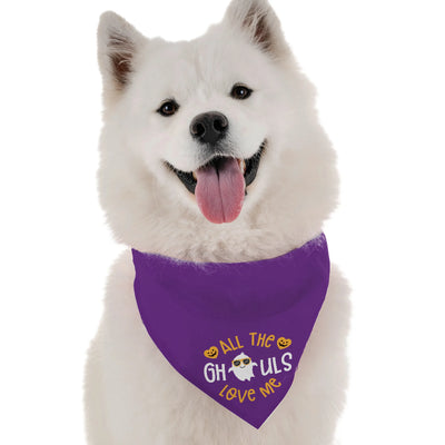 Bandoggies Microfiber Bandana for Dogs - Medium
