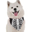 Skeleton Costume - Your Pet Connection