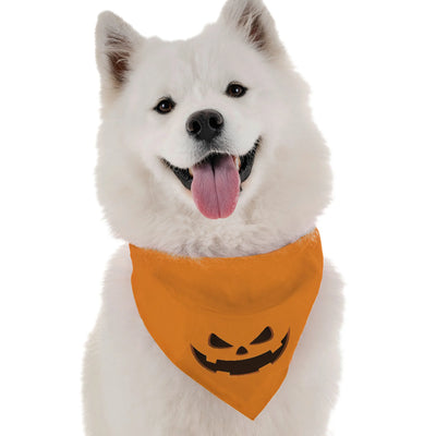 Jack-O-Lantern - Your Pet Connection