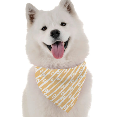 June - Your Pet Connection