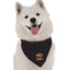 Bandoggies Festive Dog Bandana 20 Inch