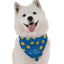 Bandoggies Festive Holiday Dog Bandana
