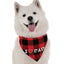 Bandoggies Festive Dog Bandana - Red Plaid Limited Edition