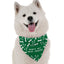 Bandoggies Microfiber Dog Bandanas All Sizes