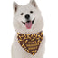 Bandoggies Luxurious Festive Dog Bandana Adjustable