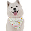 Bandoggies Festive Holiday Bandanas for Small-Medium Dogs