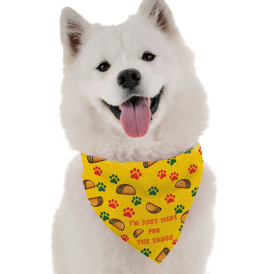 I'm Just Here for the Tacos - Your Pet Connection