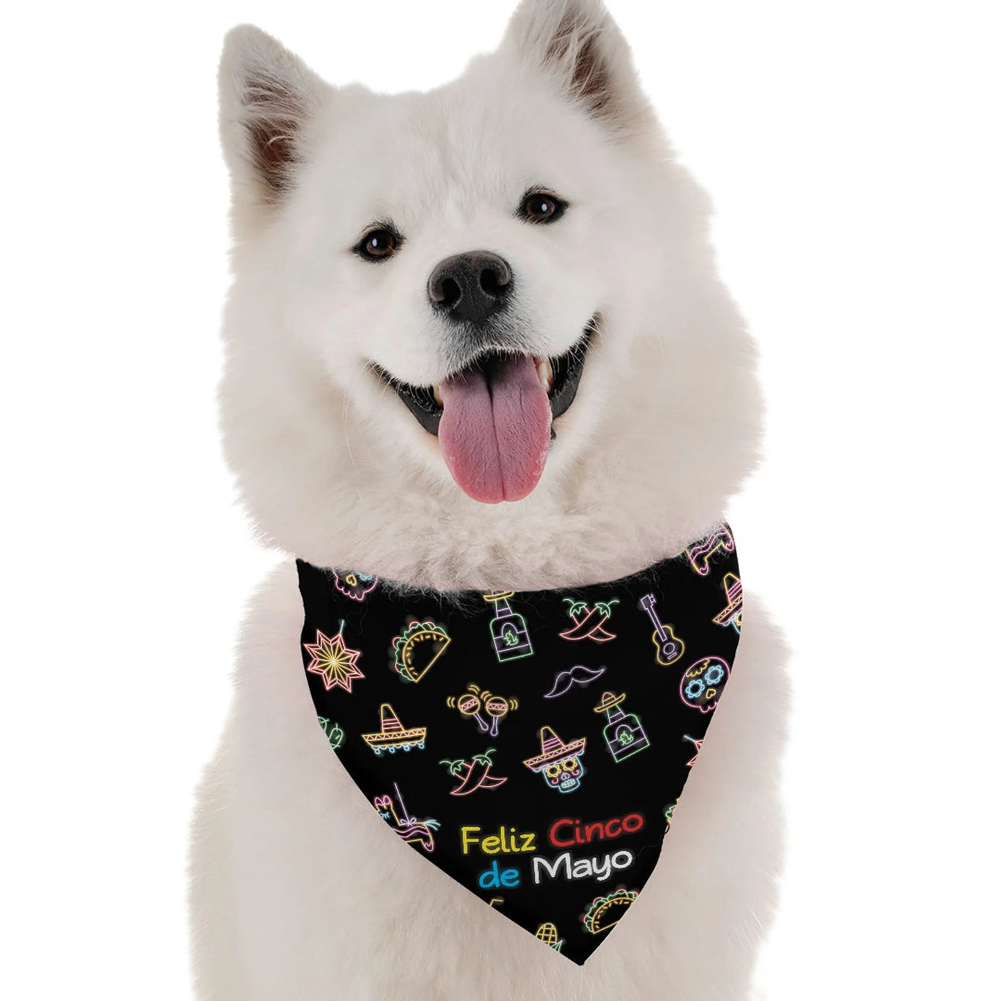 Feliz Cinco de Mayo - Your Pet Connection