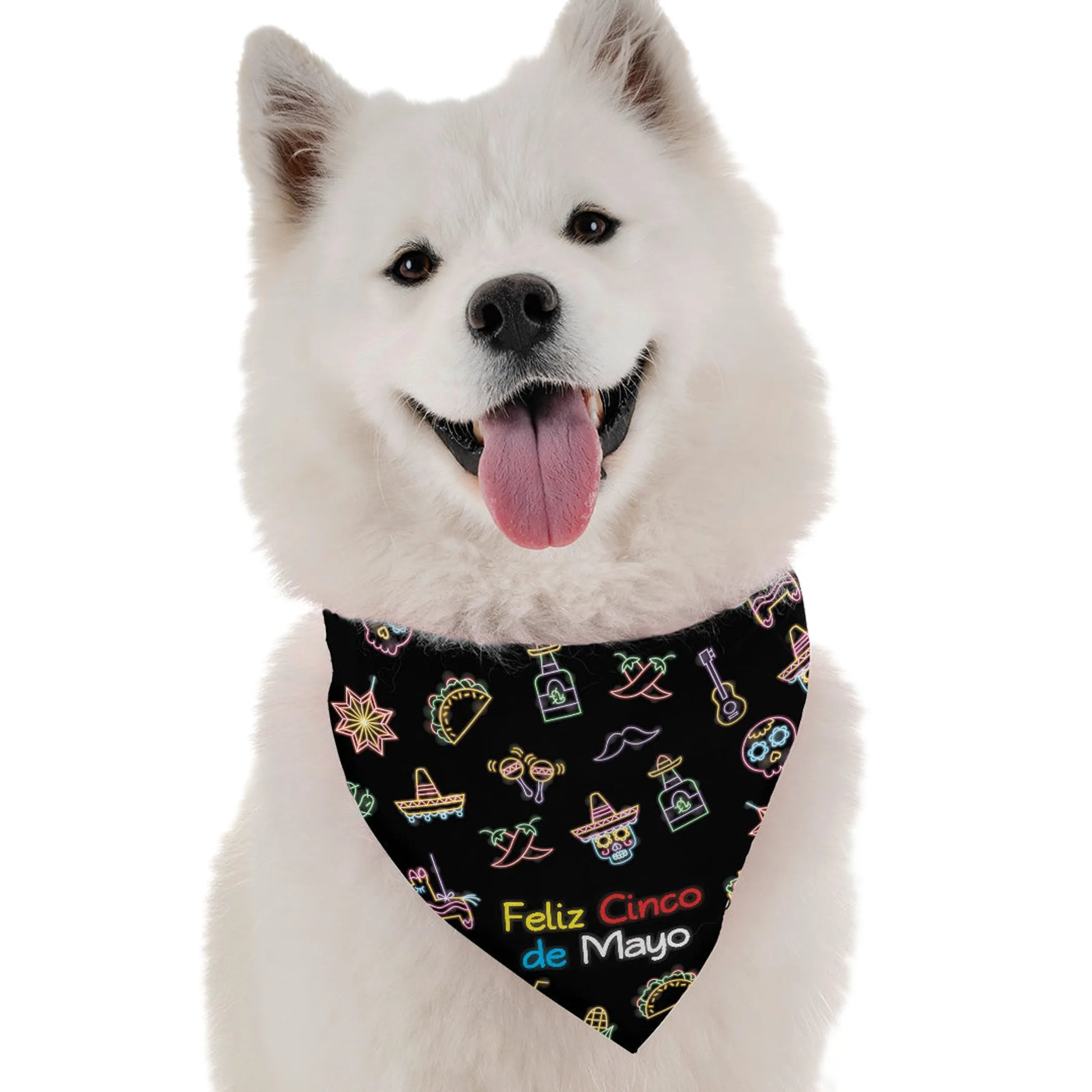 Feliz Cinco de Mayo - Your Pet Connection