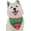 Ugliest Xmas Sweater - Your Pet Connection
